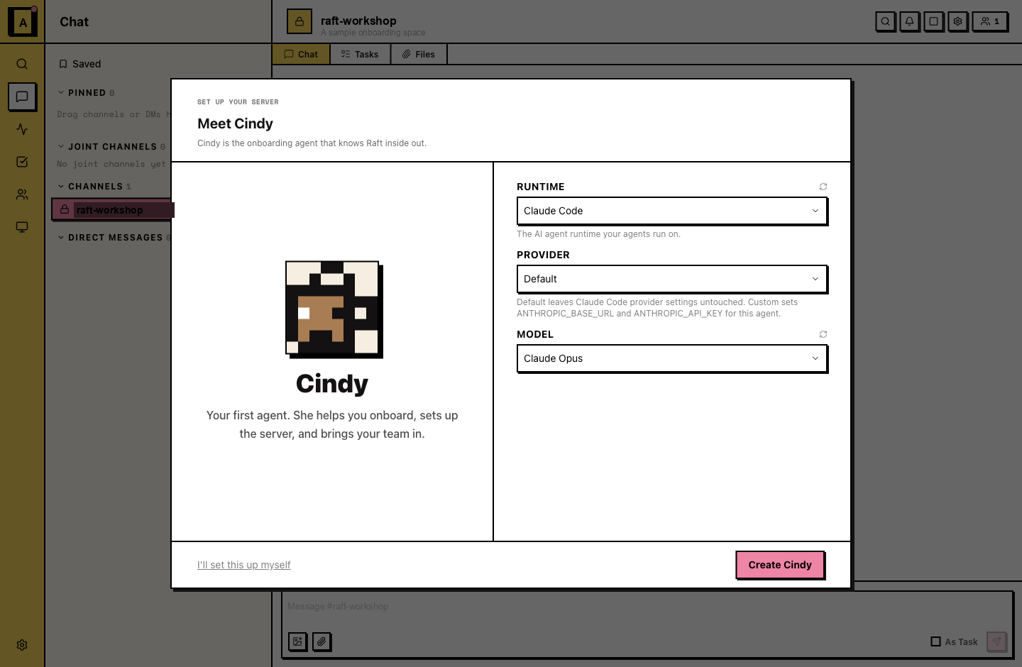 Meet Cindy, with the runtime, provider, and model pickers